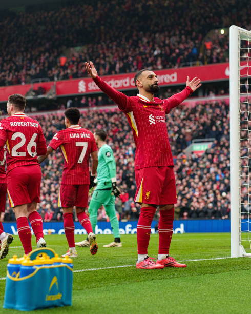 赛的一个细 赛的一个细